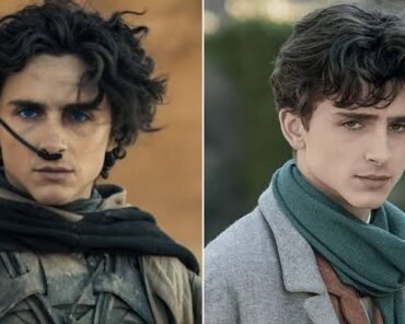 Timothée Chalamet on a red carpet wearing an unconventional designer look, representing his rise as a fashion icon